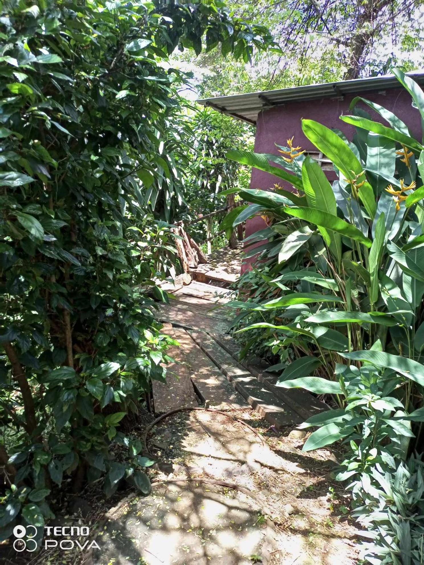 Familyhouse & Trekking Apartment Banlung Room photo